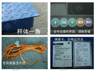 丝瓜视频看黄片
